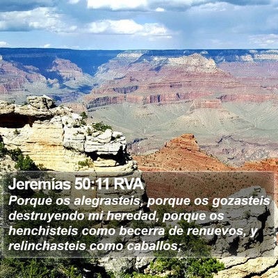 Jeremías 50:11 RVA Bible Verse Image