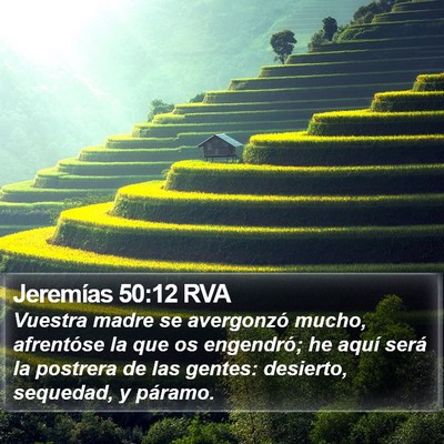 Jeremías 50:12 RVA Bible Verse Image
