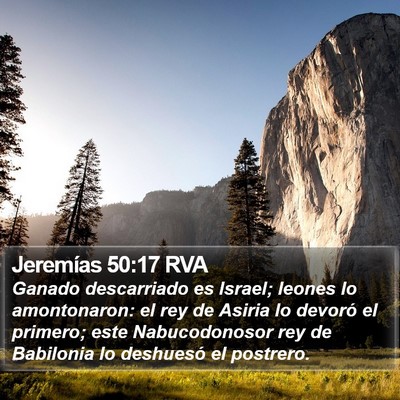 Jeremías 50:17 RVA Bible Verse Image