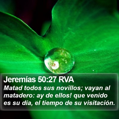 Jeremías 50:27 RVA Bible Verse Image