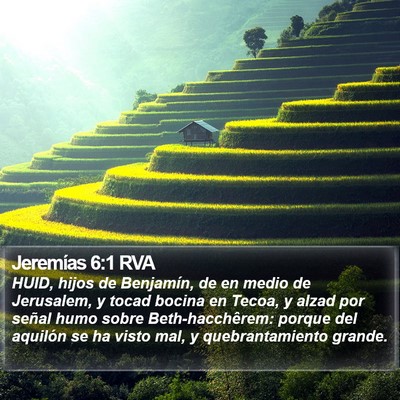 Jeremías 6:1 RVA Bible Verse Image