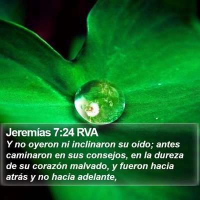 Jeremías 7:24 RVA Bible Verse Image