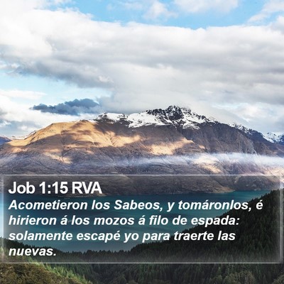 Job 1:15 RVA Bible Verse Image