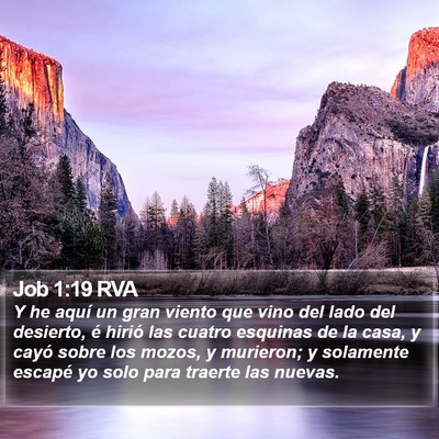 Job 1:19 RVA Bible Verse Image