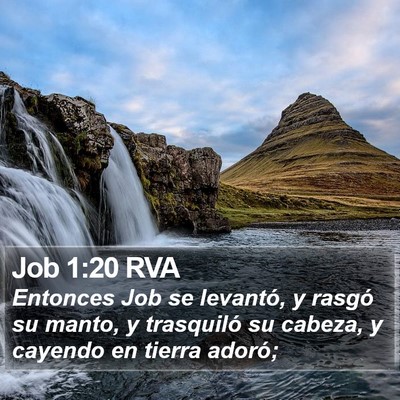 Job 1:20 RVA Bible Verse Image