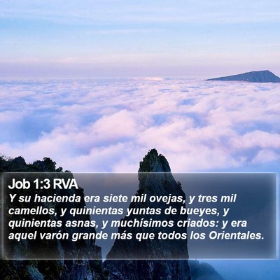 Job 1:3 RVA Bible Verse Image