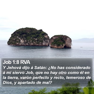 Job 1:8 RVA Bible Verse Image