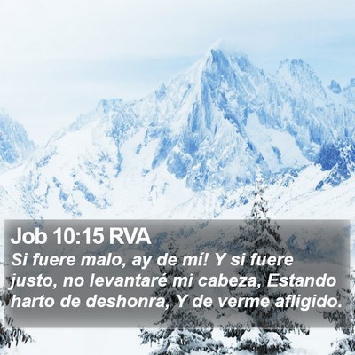 Job 10:15 RVA Bible Verse Image