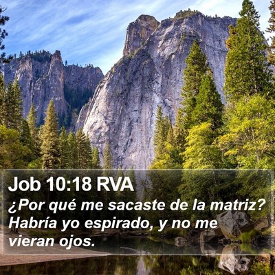 Job 10:18 RVA Bible Verse Image