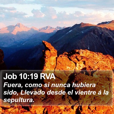 Job 10:19 RVA Bible Verse Image