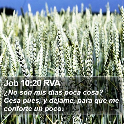 Job 10:20 RVA Bible Verse Image