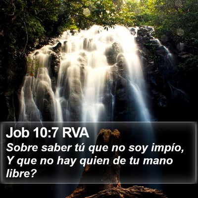 Job 10:7 RVA Bible Verse Image
