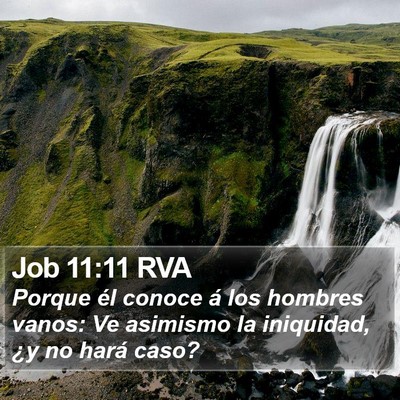 Job 11:11 RVA Bible Verse Image