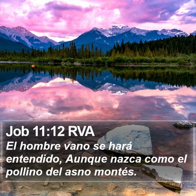 Job 11:12 RVA Bible Verse Image