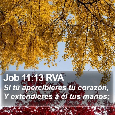 Job 11:13 RVA Bible Verse Image