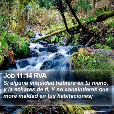 Job 11:14 RVA Bible Verse Image