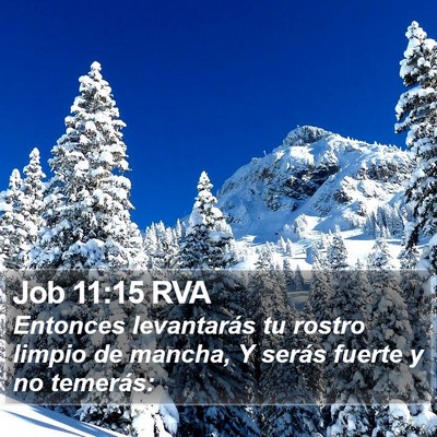 Job 11:15 RVA Bible Verse Image