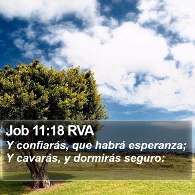 Job 11:18 RVA Bible Verse Image