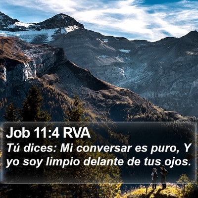 Job 11:4 RVA Bible Verse Image