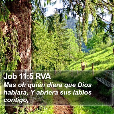 Job 11:5 RVA Bible Verse Image