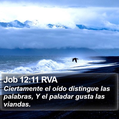Job 12:11 RVA Bible Verse Image