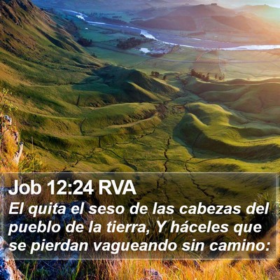 Job 12:24 RVA Bible Verse Image