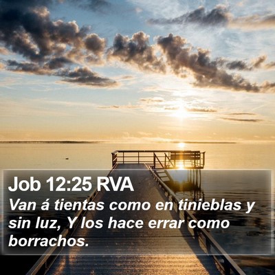 Job 12:25 RVA Bible Verse Image