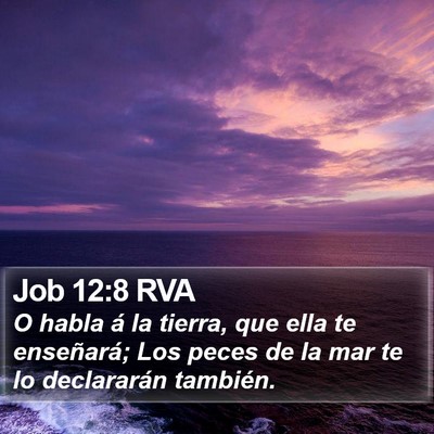 Job 12:8 RVA Bible Verse Image