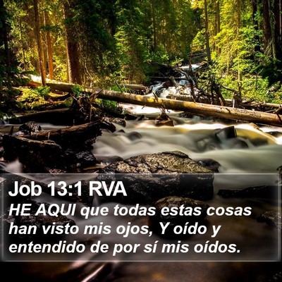 Job 13:1 RVA Bible Verse Image