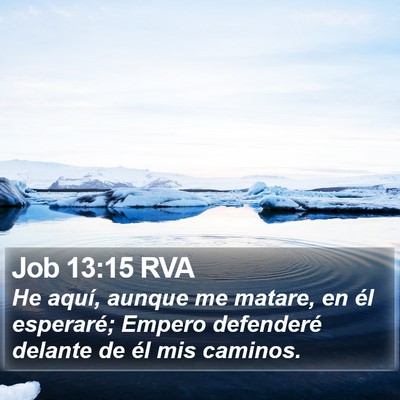 Job 13:15 RVA Bible Verse Image