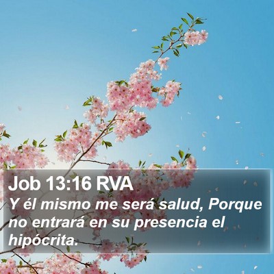 Job 13:16 RVA Bible Verse Image