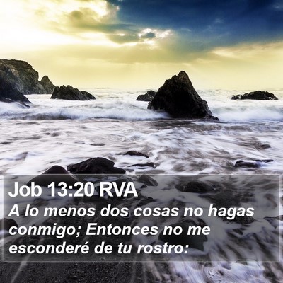 Job 13:20 RVA Bible Verse Image