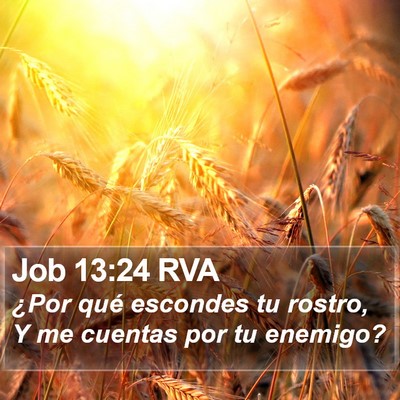 Job 13:24 RVA Bible Verse Image