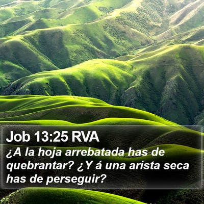 Job 13:25 RVA Bible Verse Image