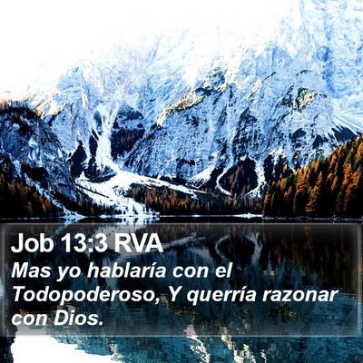 Job 13:3 RVA Bible Verse Image