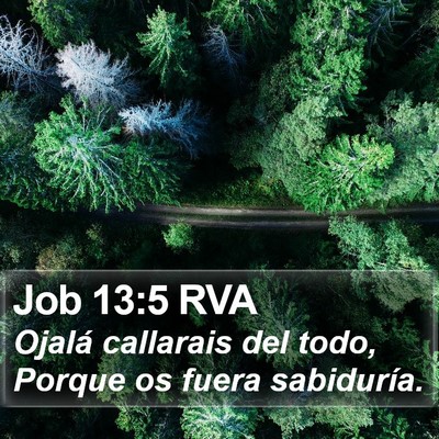 Job 13:5 RVA Bible Verse Image