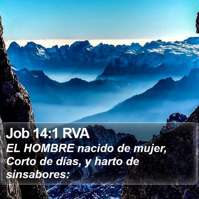 Job 14:1 RVA Bible Verse Image