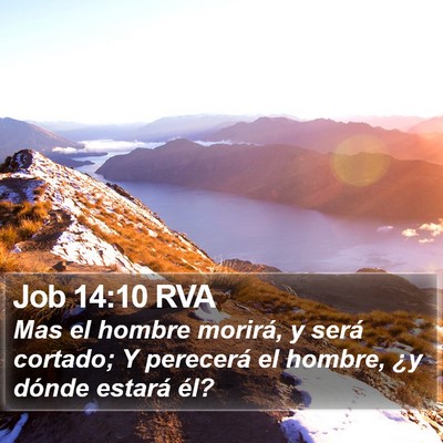 Job 14:10 RVA Bible Verse Image
