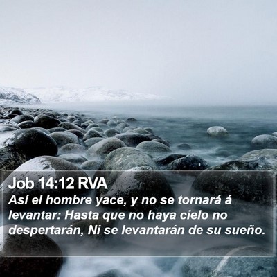 Job 14:12 RVA Bible Verse Image