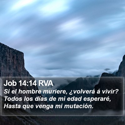 Job 14:14 RVA Bible Verse Image