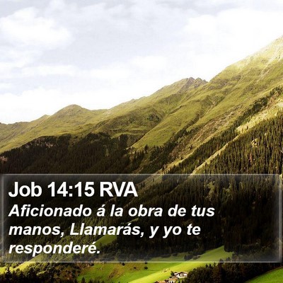 Job 14:15 RVA Bible Verse Image