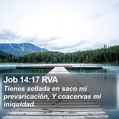 Job 14:17 RVA Bible Verse Image