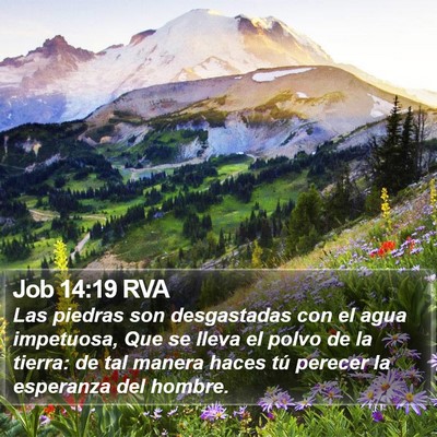 Job 14:19 RVA Bible Verse Image