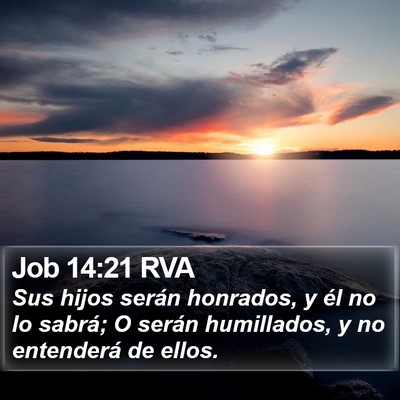 Job 14:21 RVA Bible Verse Image