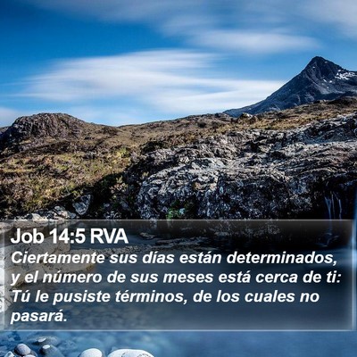 Job 14:5 RVA Bible Verse Image