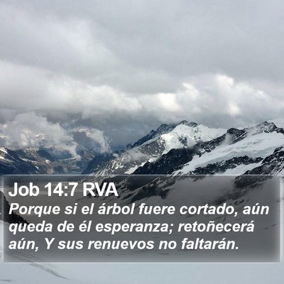 Job 14:7 RVA Bible Verse Image