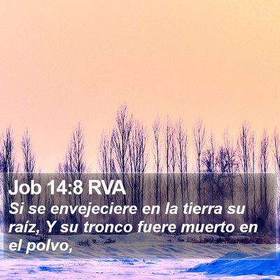 Job 14:8 RVA Bible Verse Image