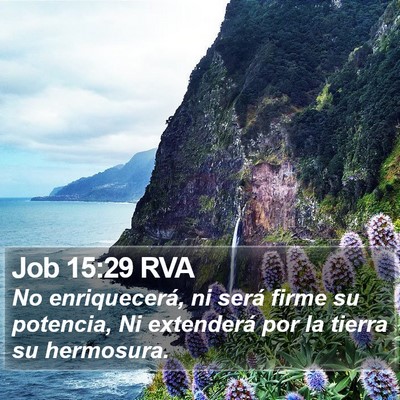 Job 15:29 RVA Bible Verse Image