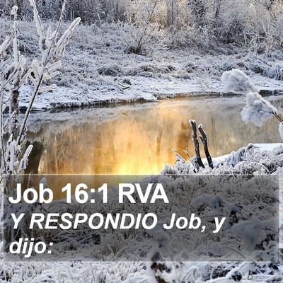 Job 16:1 RVA Bible Verse Image