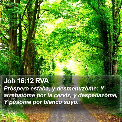Job 16:12 RVA Bible Verse Image